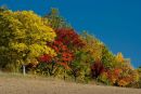 herbst-in-der-rhoen