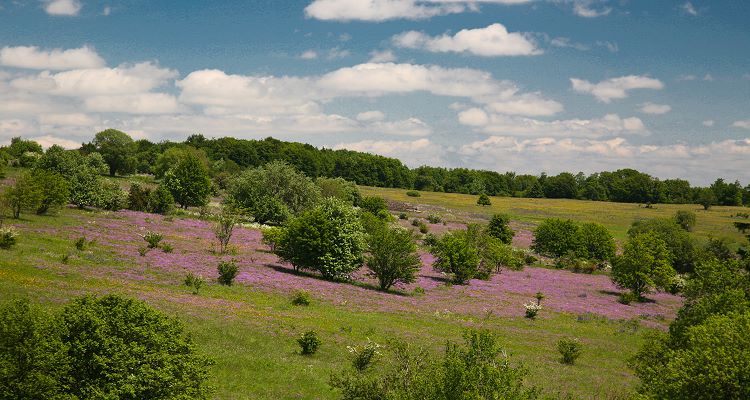 Urlaub in der Rhön